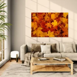 Alternative view of LIŠĆE 3