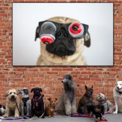 Alternative view of MOPS