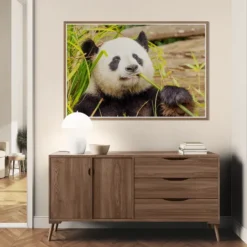 Alternative view of PANDA