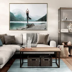 Alternative view of PRIRODA