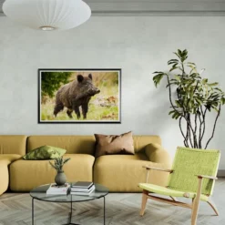 Alternative view of DIVLJA SVINJA