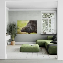 Alternative view of DIVLJA SVINJA 2