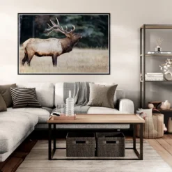 Alternative view of JELEN 2