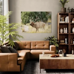 Alternative view of JELEN