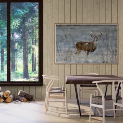 Alternative view of JELEN 3