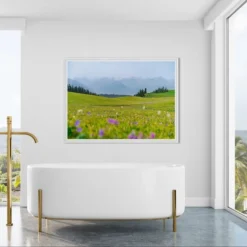 Alternative view of LIVADA