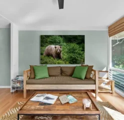 Alternative view of MEDVED