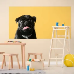 Alternative view of MOPS 2