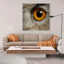 Alternative view of OKO SOVE 2