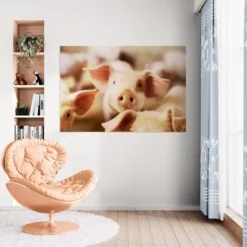 Alternative view of PRASE