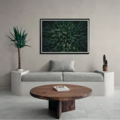 Alternative view of ŠUMA