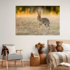 Alternative view of ZEC