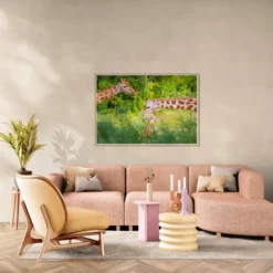 Alternative view of ŽIRAFE